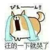 你是我的唯一丶