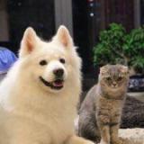 让时间_停在迩还爱我的昨天