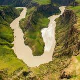 直道相思了无益，未妨惆怅是清狂