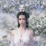 小白鼠