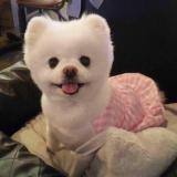 LiMy