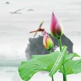 张军