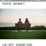 书友74540