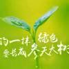 莫幽花岸香，