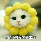 千叶