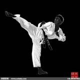 艾菲尔上的铁塔梦