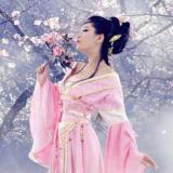 2005小逸飞