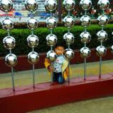 人生如梦。流浪天涯