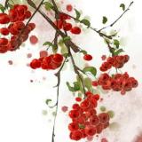 易水