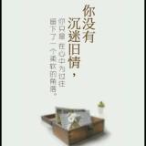 一袋米哟扛几楼