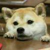 有梦想的高中生