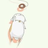 万俟泠