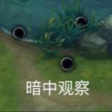 种花家的闪闪兔