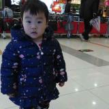 书友13274