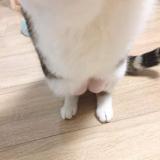 七楼