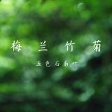 r小荷柳水