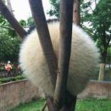 1生如夏花