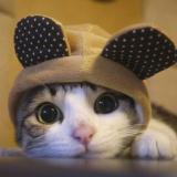 整个地球我最狠硬汉到爆小妞都叫我花岗岩哥