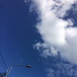 ye绊沽魂