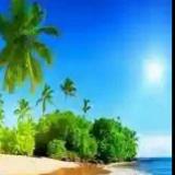 浮生若梦