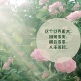 Jolin