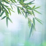 背影匆匆