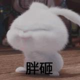 书友84159