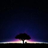 其实这样挺好的