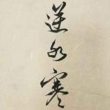 老白是个正直的人