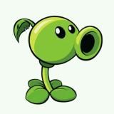 biu  biu  biu 