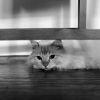 .晚钟