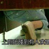 北城以北