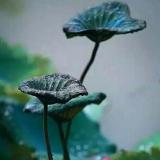 暮雨﹌染青衣