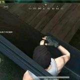 淹死的鱼