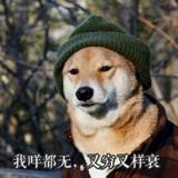 米特