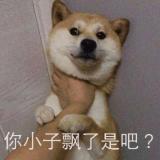 贫道乃是出家之人