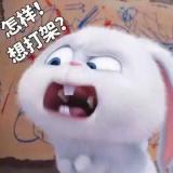 风待葬渊