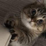 家长里短话家常