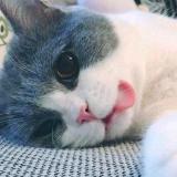 莫斯科的红场