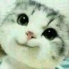 →过客→