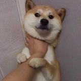 臘邋