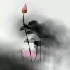 芙蕖蔓蔓