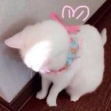 书友31562