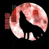 孤狼-薄情苦楚