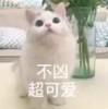 紫月飘摇
