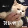 人間の怪物