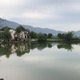 阿狸