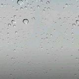网络的旅行者