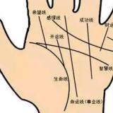 大智