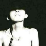 Zhang张張帥白。